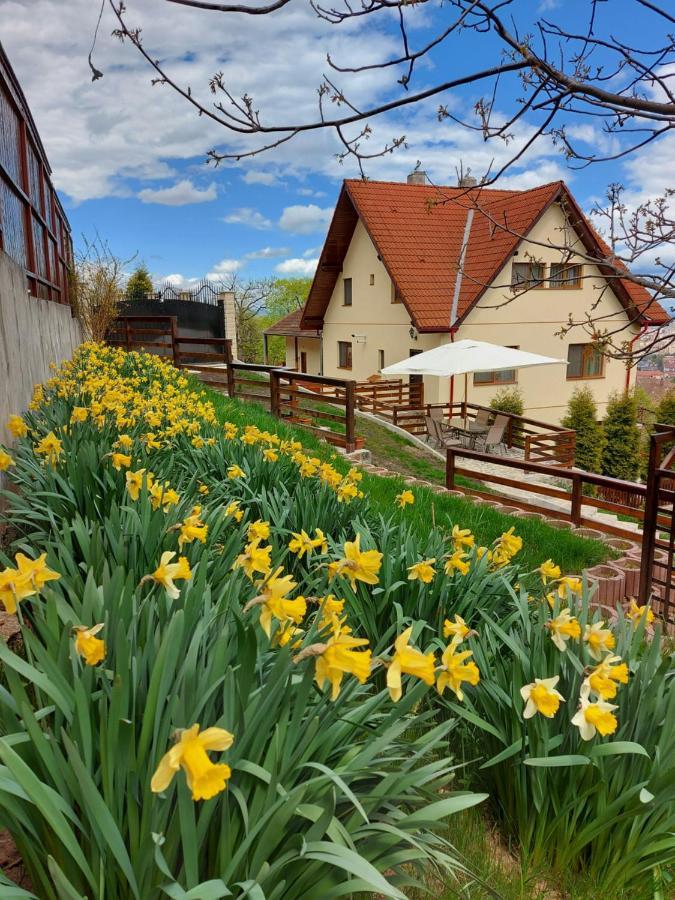 Apartament Matei Brasov Exterior photo